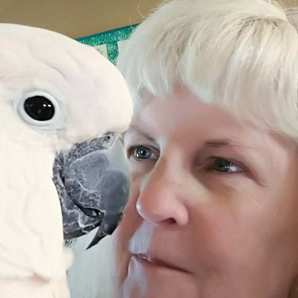 Meet your Posher, Gail